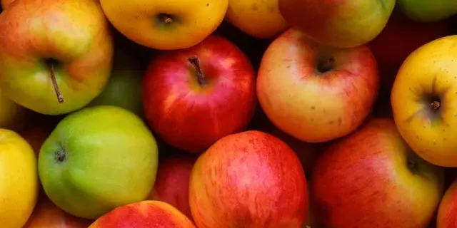 08FF338A-B117-483E-98D8-50E329DBD137